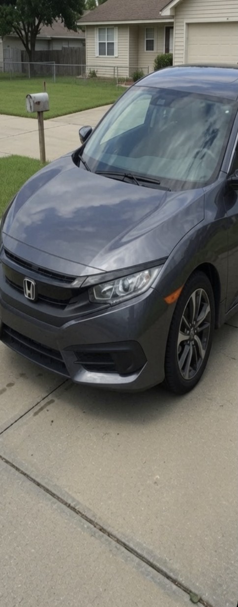 Honda Civic front bumper and hood after collision repair at Downing's Collision in Tacoma WA